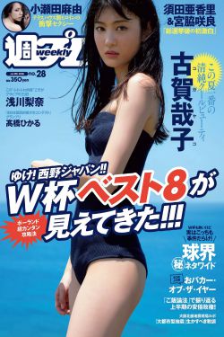 电视剧铁血玫瑰全集